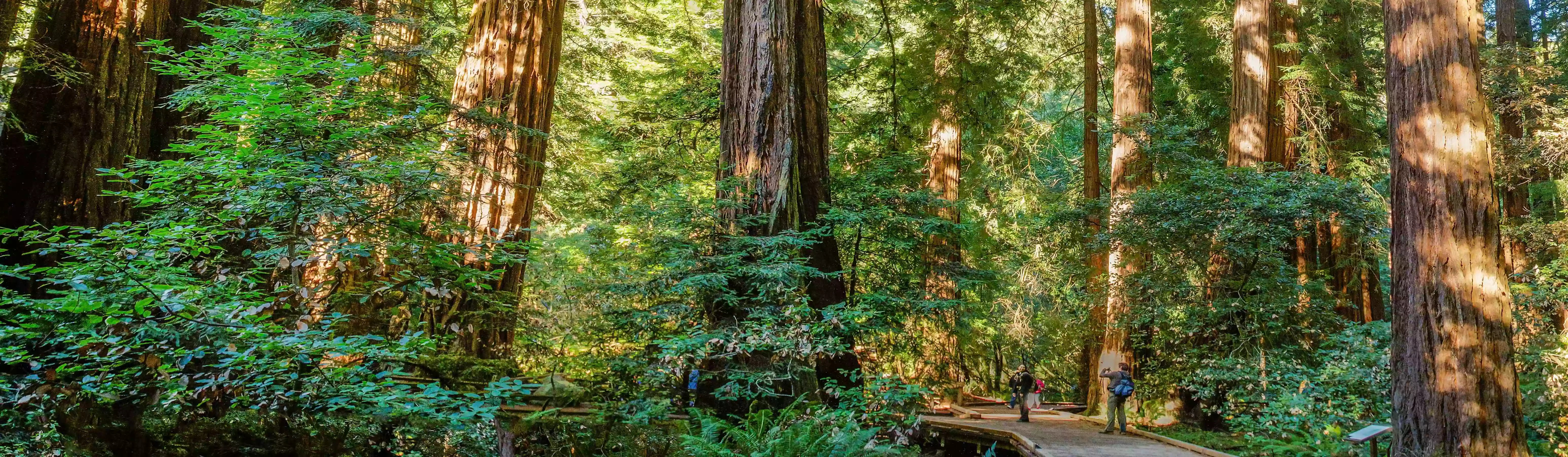 Muir Woods Visitor Center