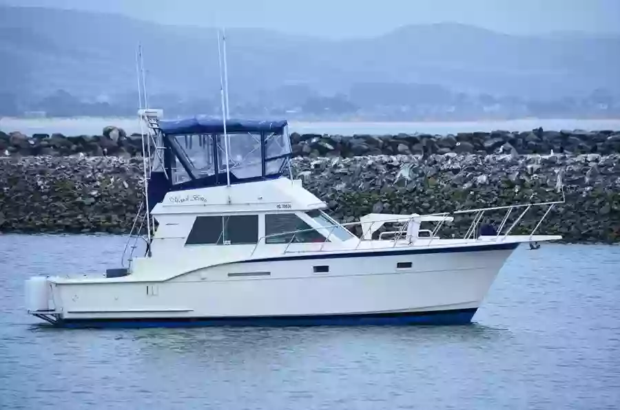 Mooch Better Fishing - Sport Fishing Charter