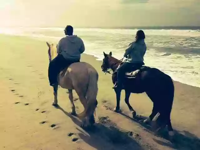 Monterey Bay Equestrian Center