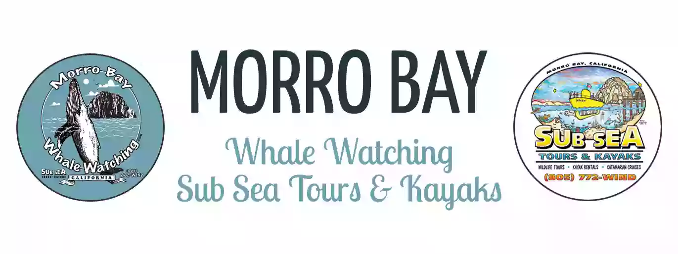 Morro Bay Whale Watching