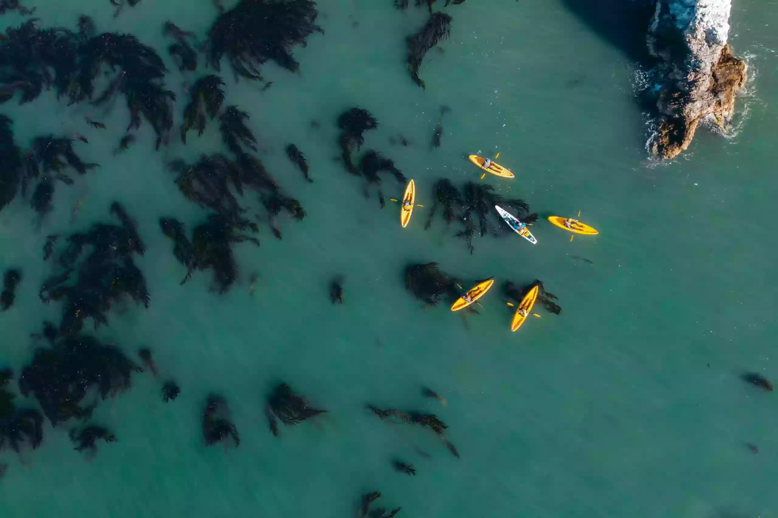 Central Coast Kayaks