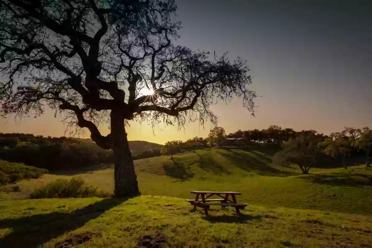 Oak & Vine Vineyard Estate