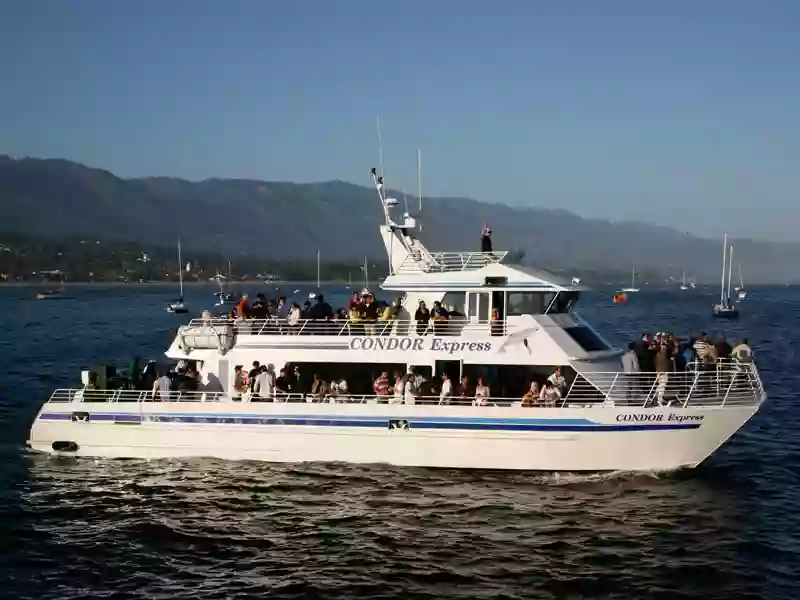 Condor Express Whale Watching