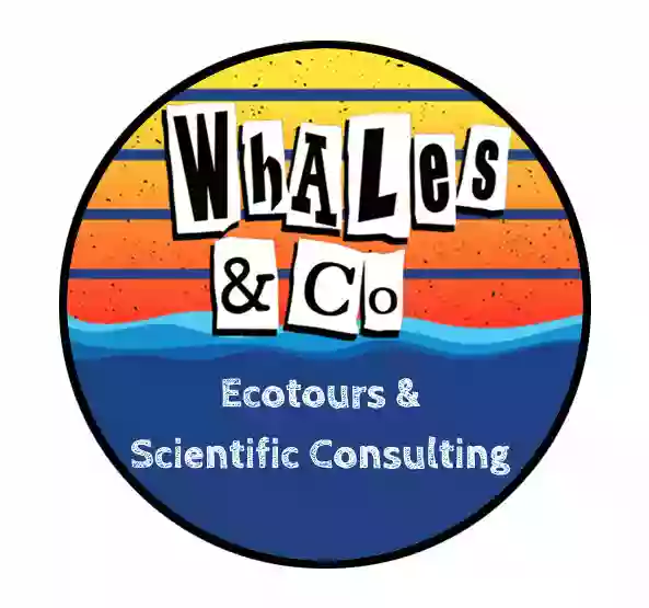 Whales & Co.