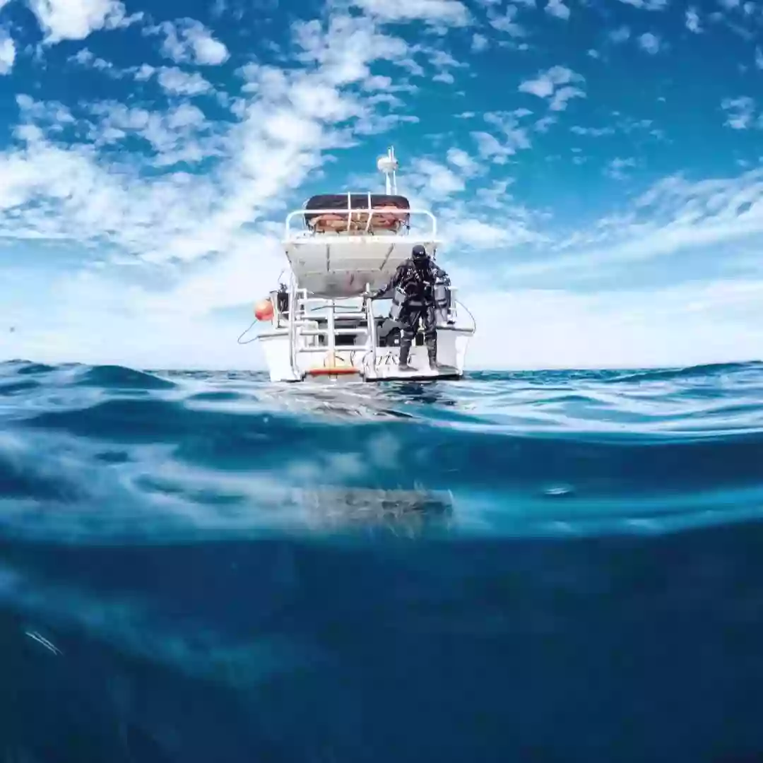 Marissa Charters - San Diego Scuba Diving Charter Boat