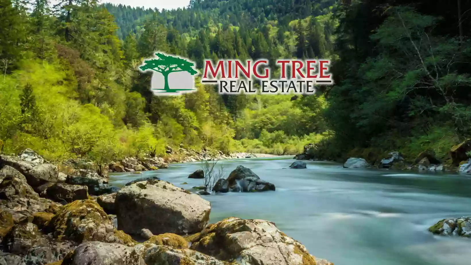 Ming Tree Real Estate