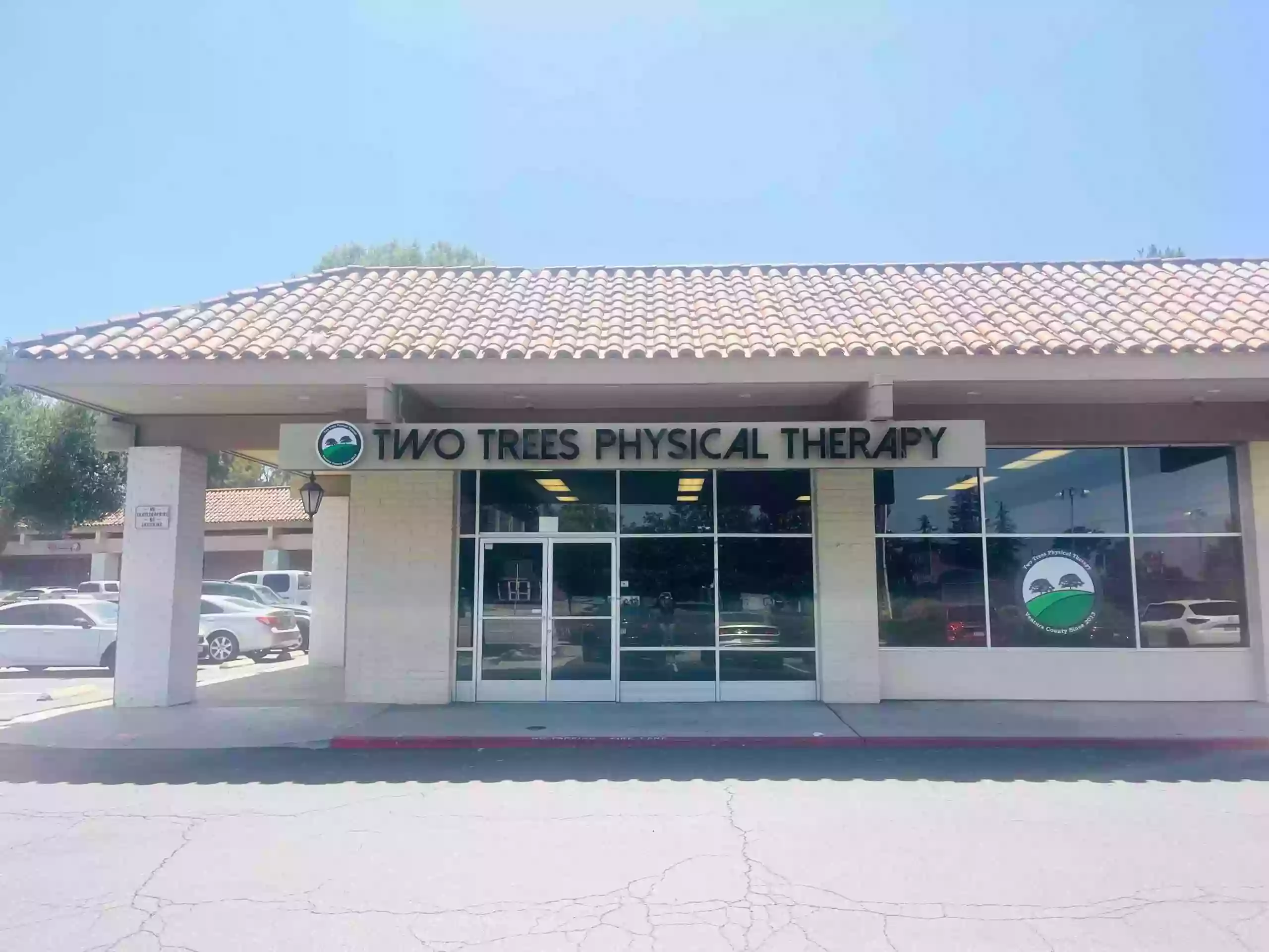 Two Trees Physical Therapy