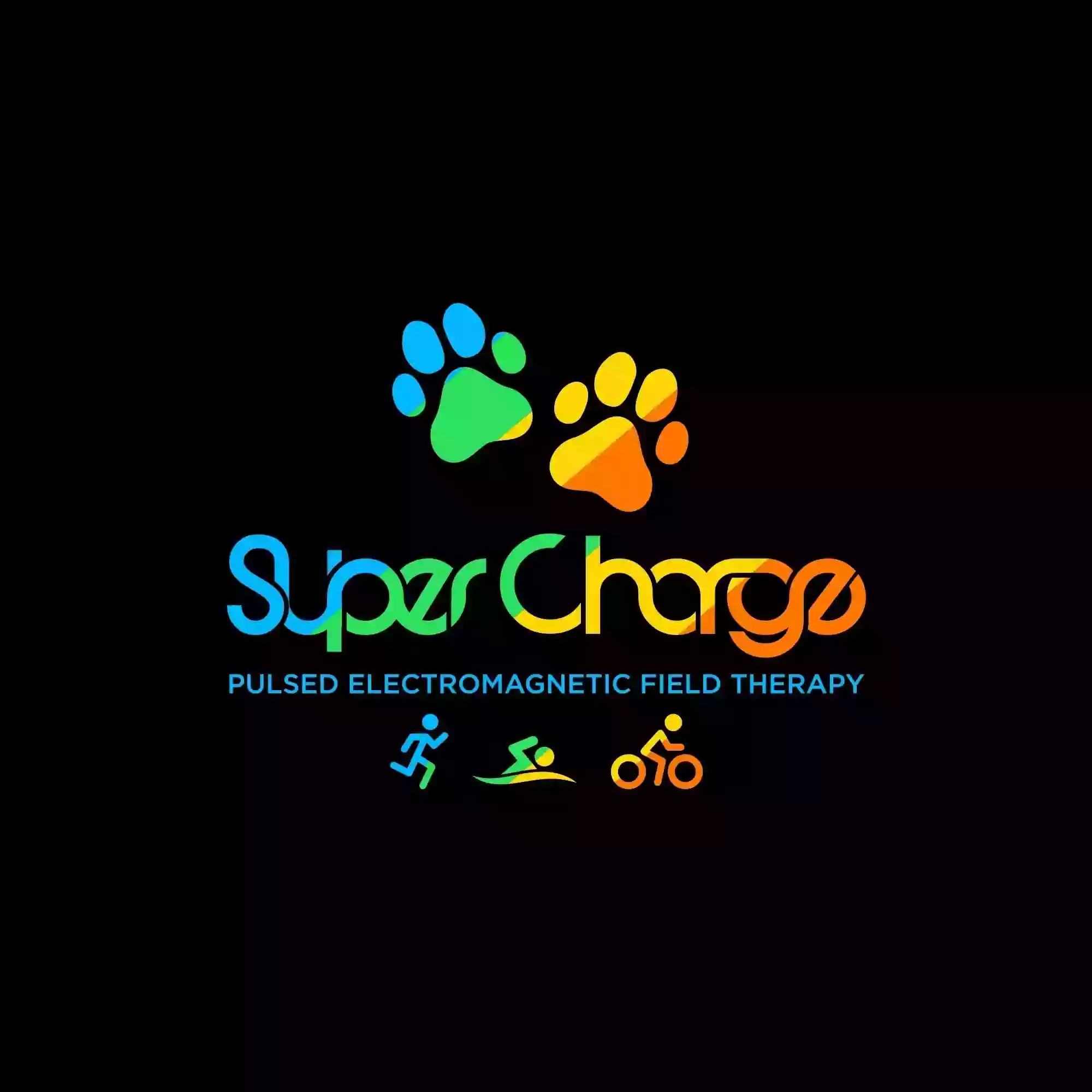 PEMFSUPERCHARGE.COM