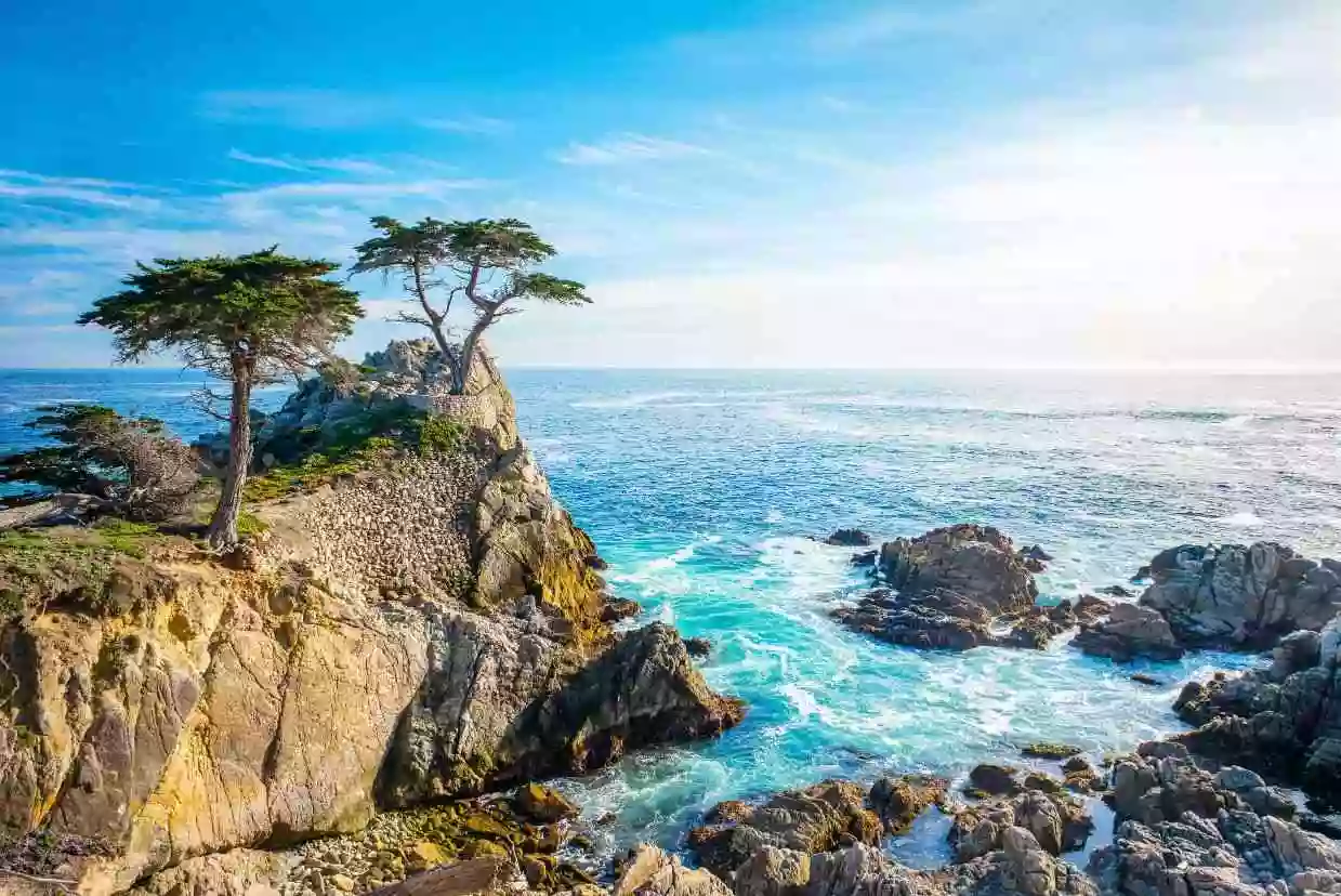 17 Mile Drive Tour