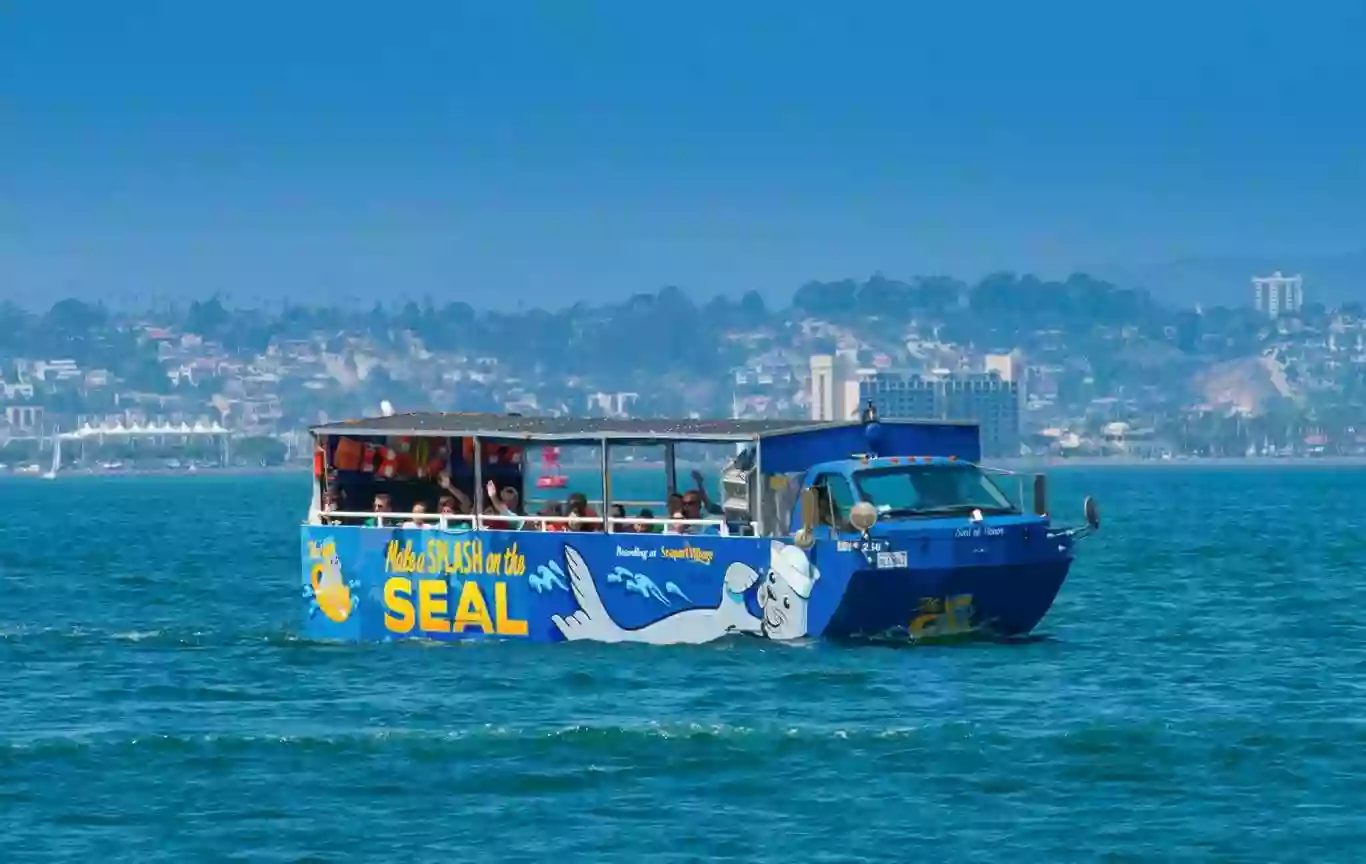 San Diego Seal Tours