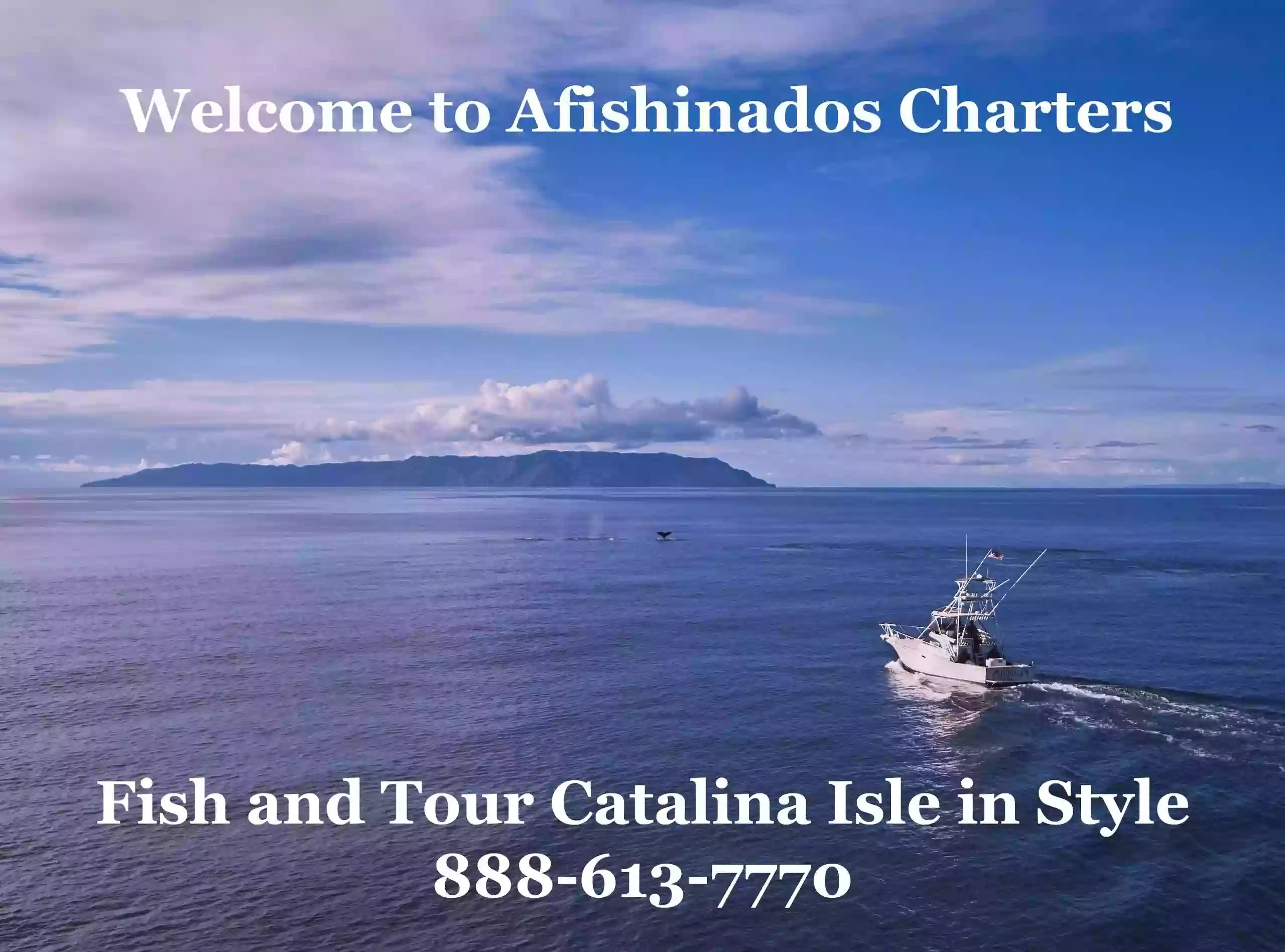 Afishinados Charters