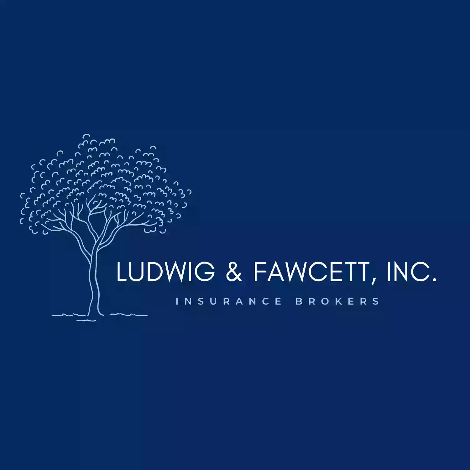 Ludwig & Fawcett Inc