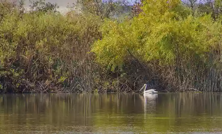 IRWD San Joaquin Marsh & Wildlife Sanctuary