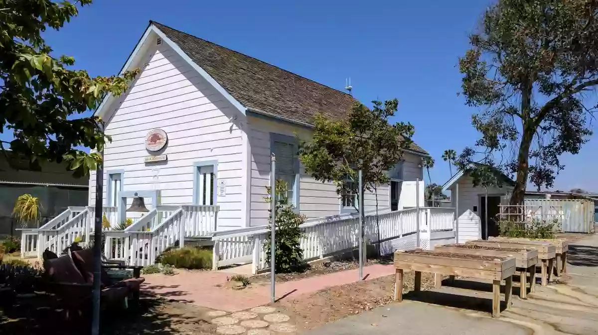 Encinitas Heritage Tree