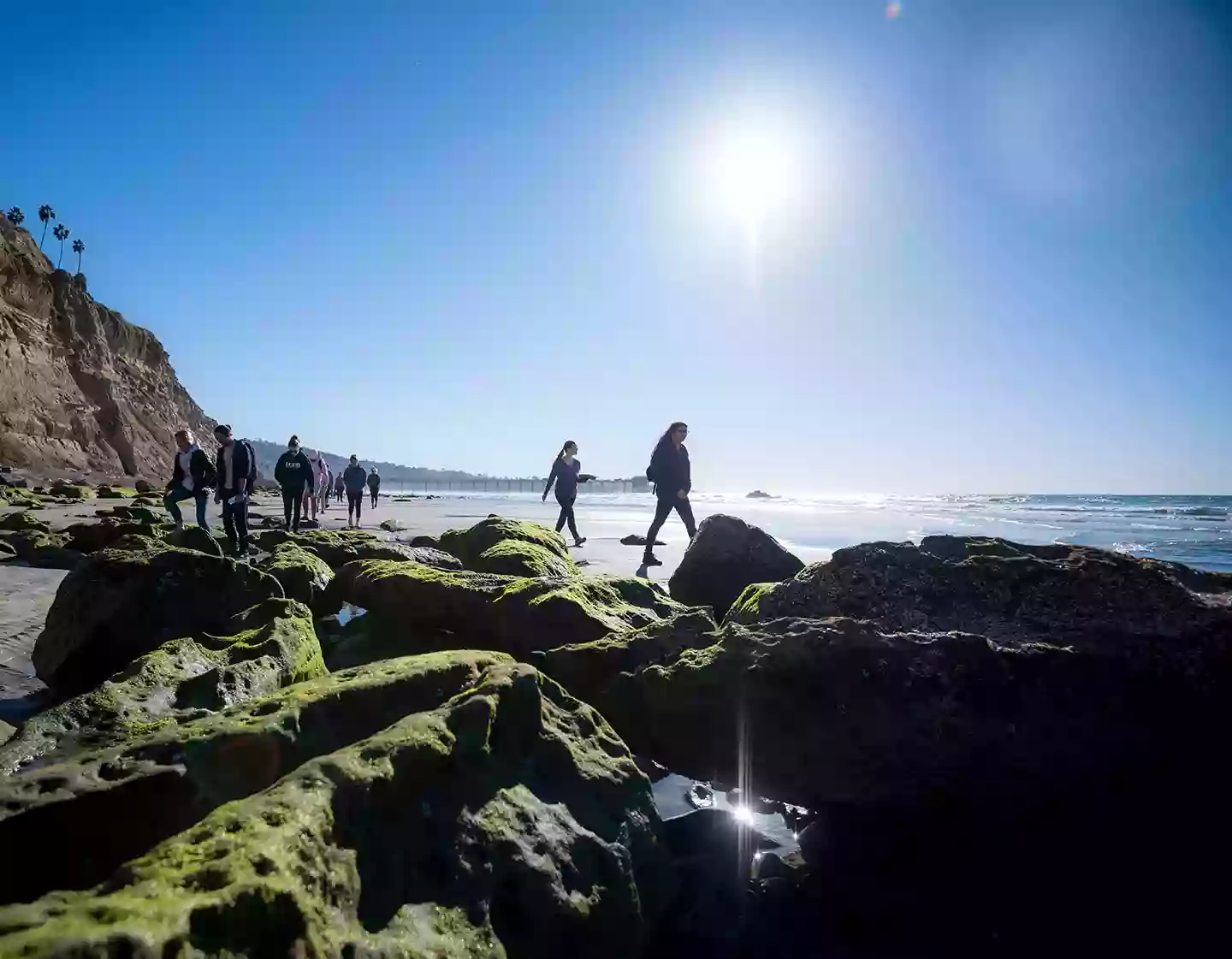 UCSD Scripps Pier