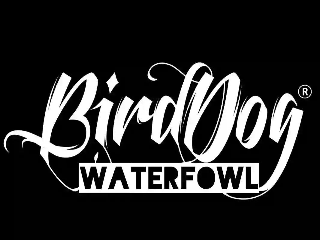 Bird Dog Waterfowl