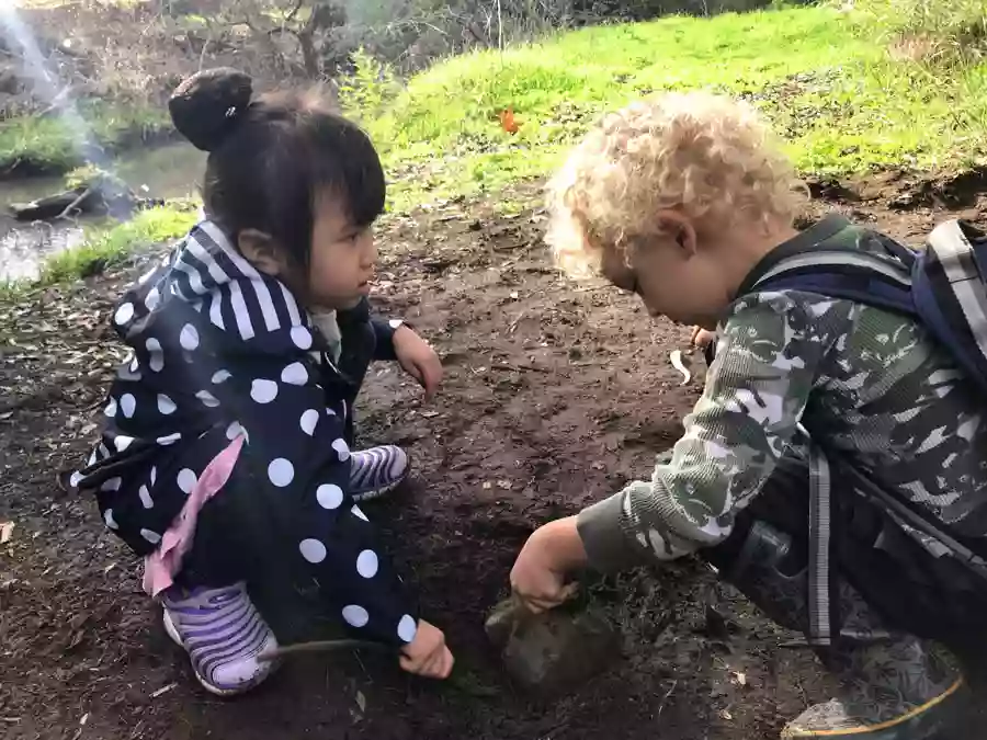 Salamander Nature Awareness Preschool