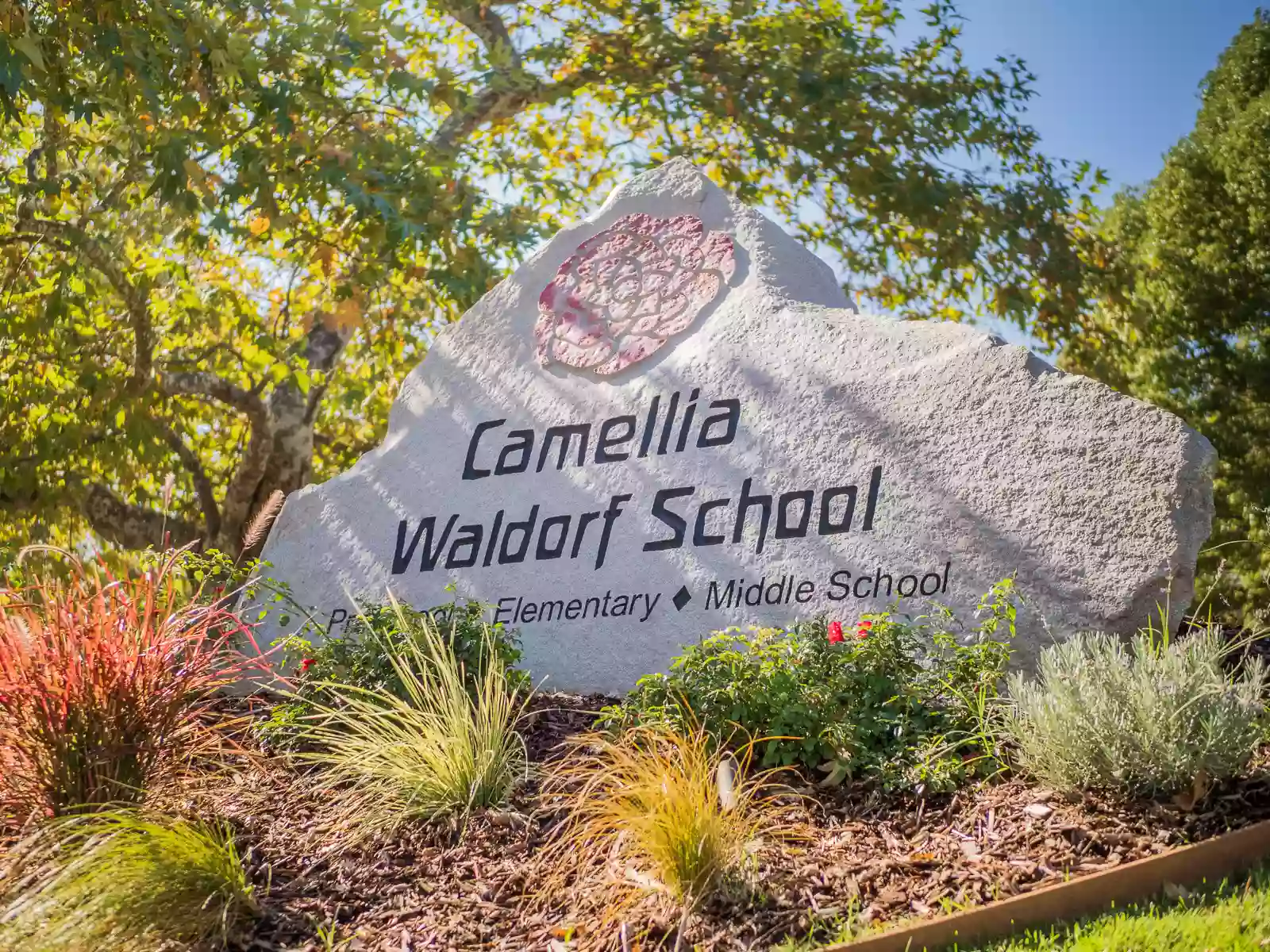 Camellia Waldorf School