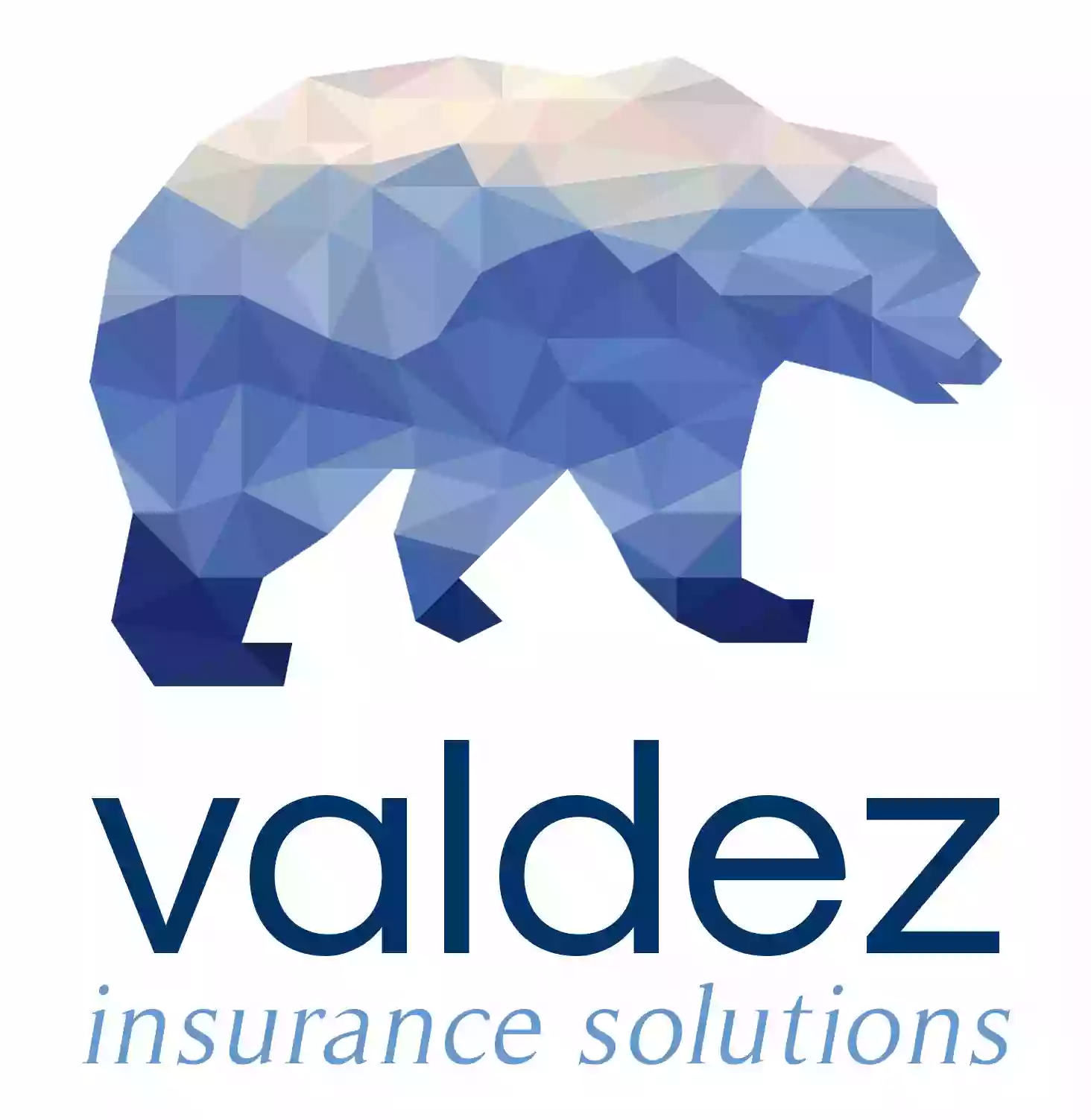 Valdez Insurance Solutions - Medicare Done Right