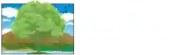 Alisal Tax Service Inc