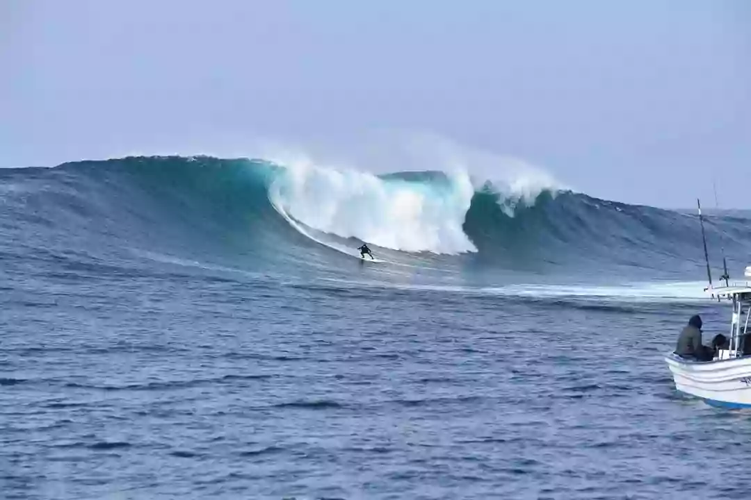 CA Surf N Paddle