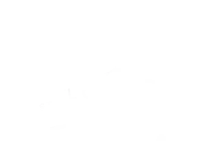 El Camino Bike Shop