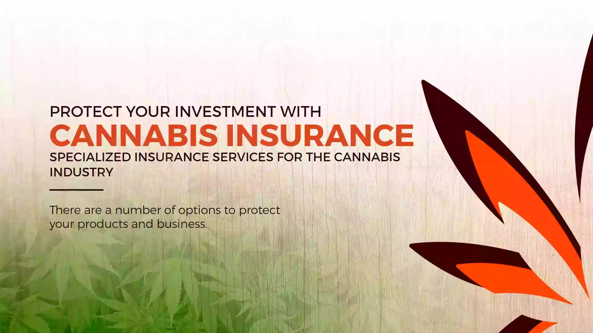 Cover Cannabis - Cannabis Insurance