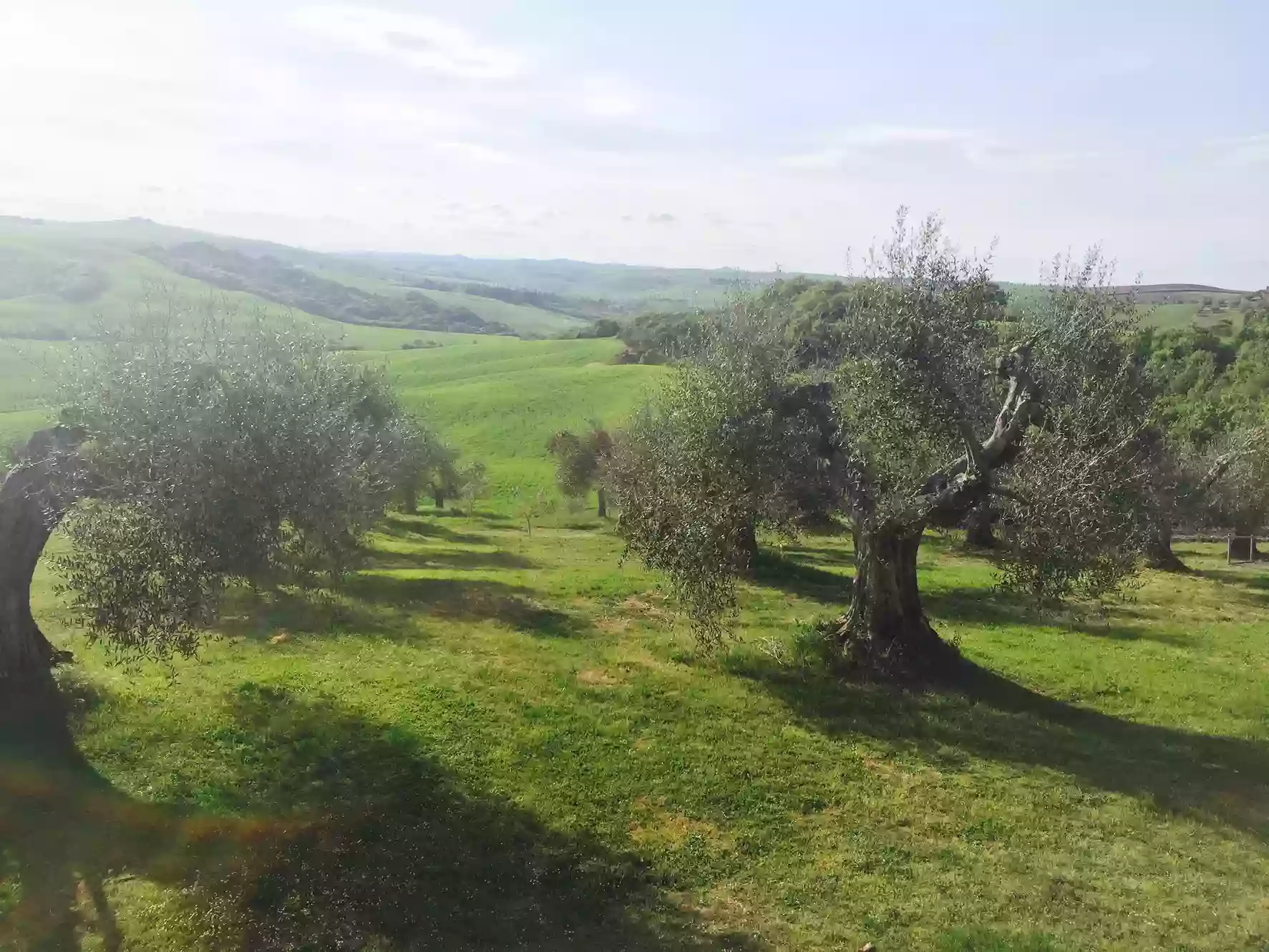 plein air tuscany