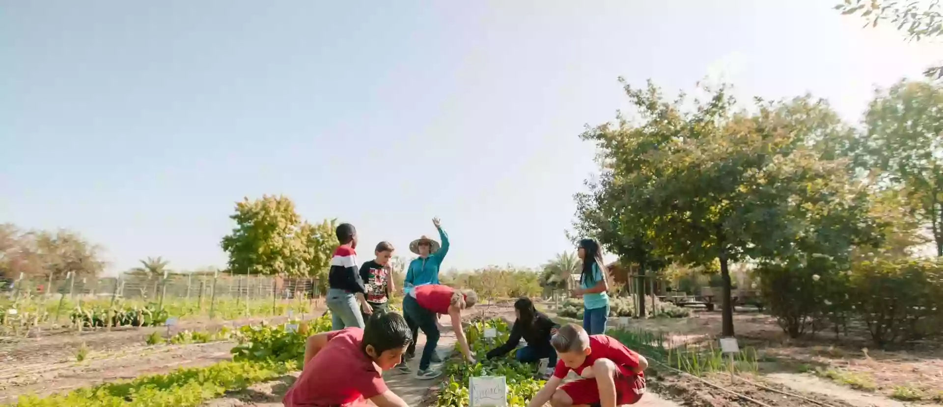 Buena Vista Edible Schoolyard