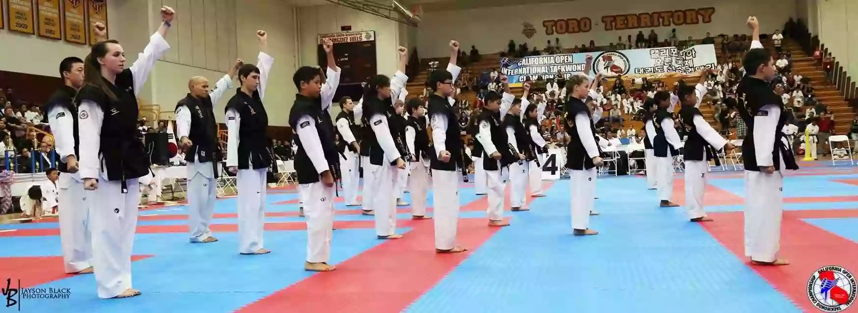 American Martial Arts Academy