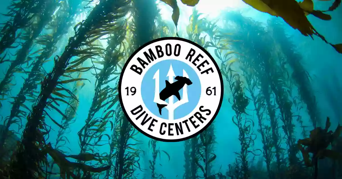 Bamboo Reef Scuba Diving Centers