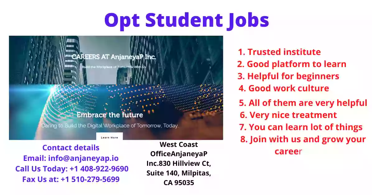 Opt Student Jobs