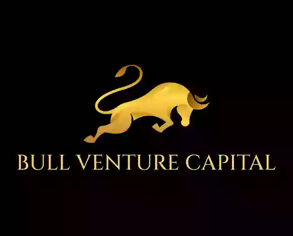 Bull Venture Capital