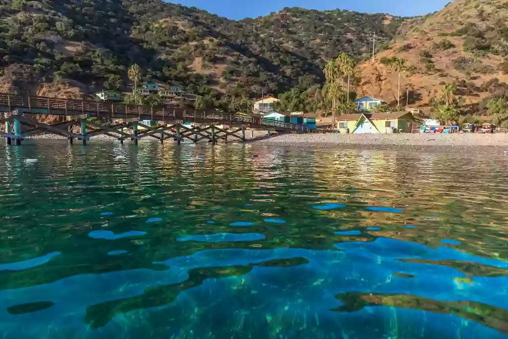 Catalina Sea Camp