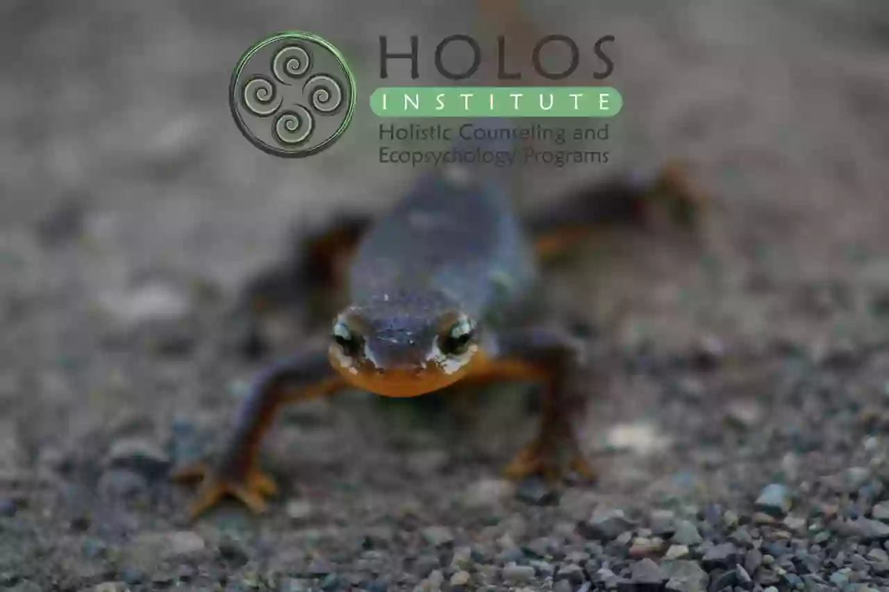 Holos Institute