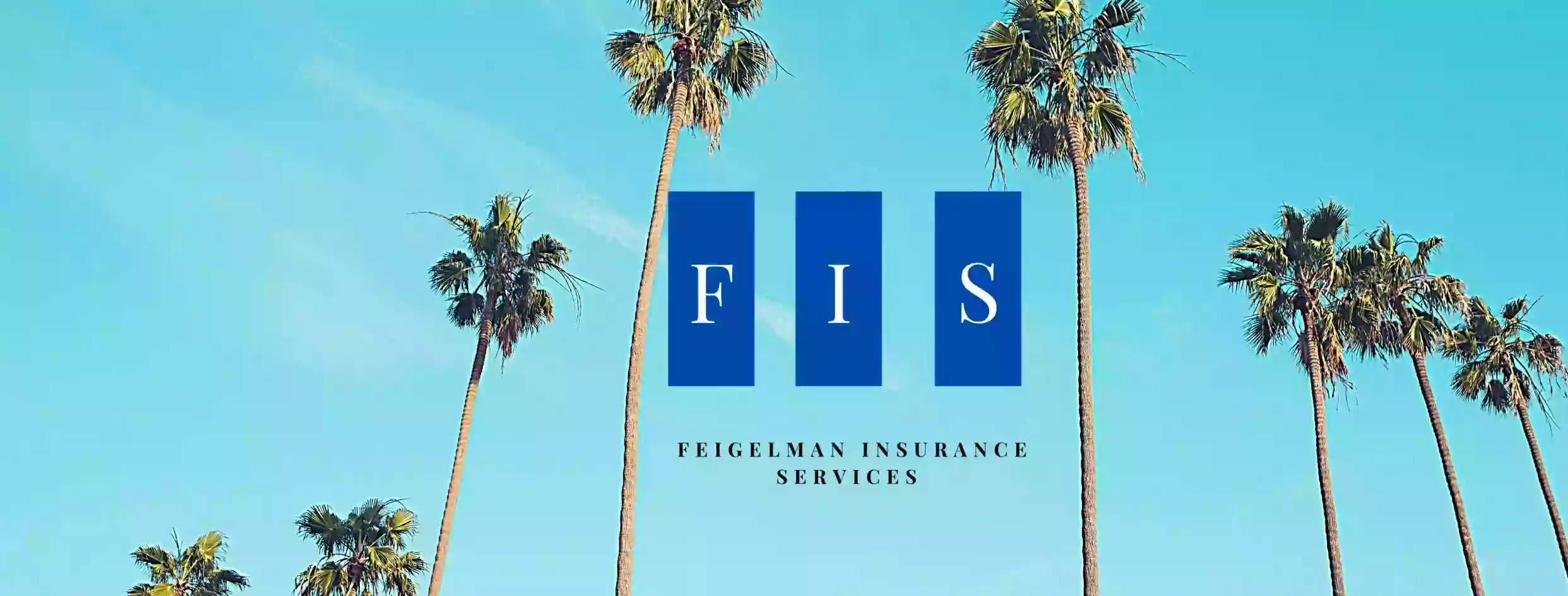 Feigelman Insurance Services