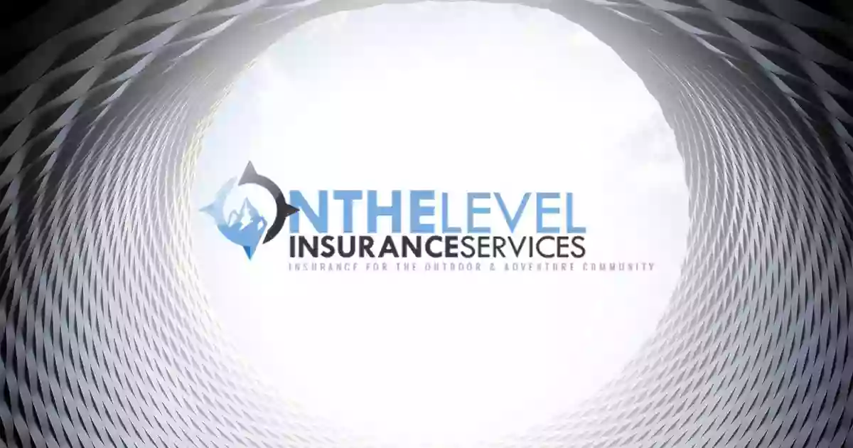 On The Level Insurance Services