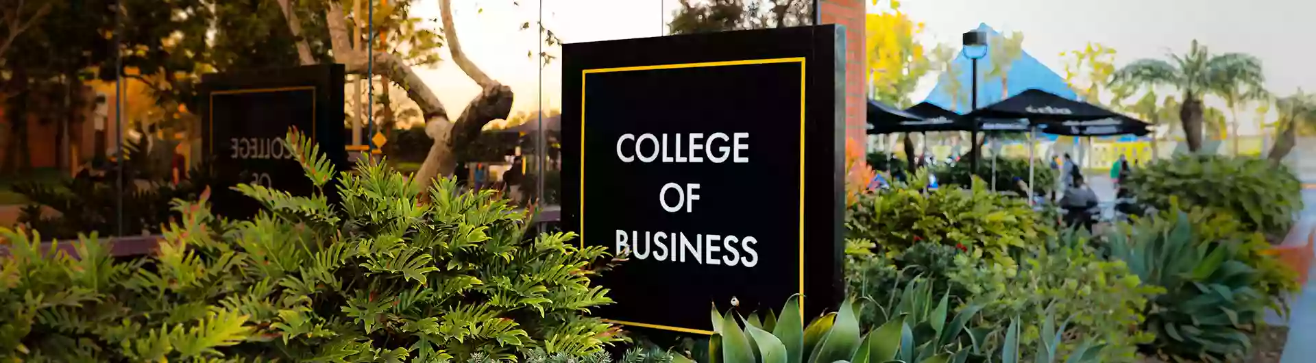 College of Business