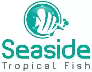 Seaside Tropical Fish