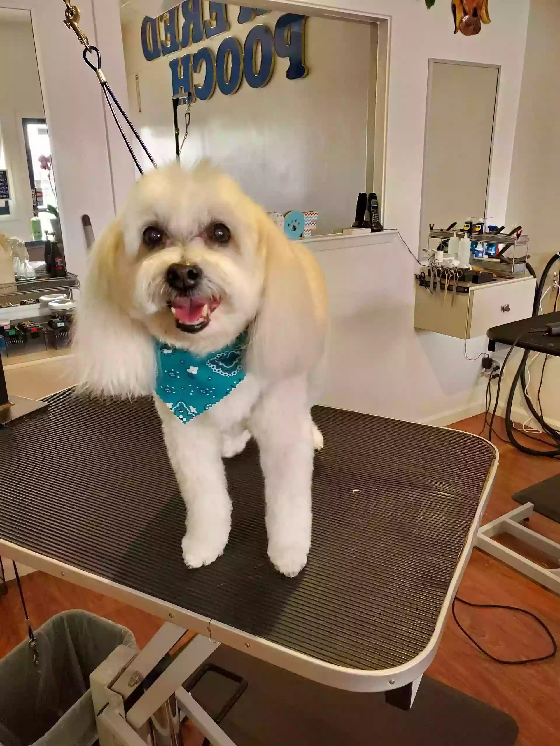 Pampered Pooch Dog Grooming Spa & Salon