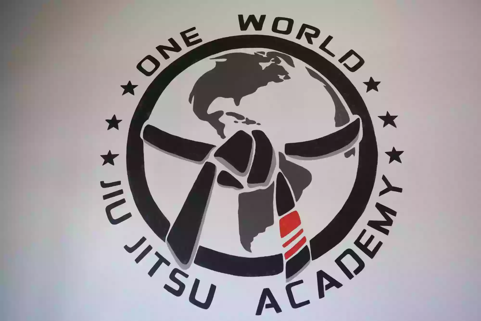 One World Jiu Jitsu