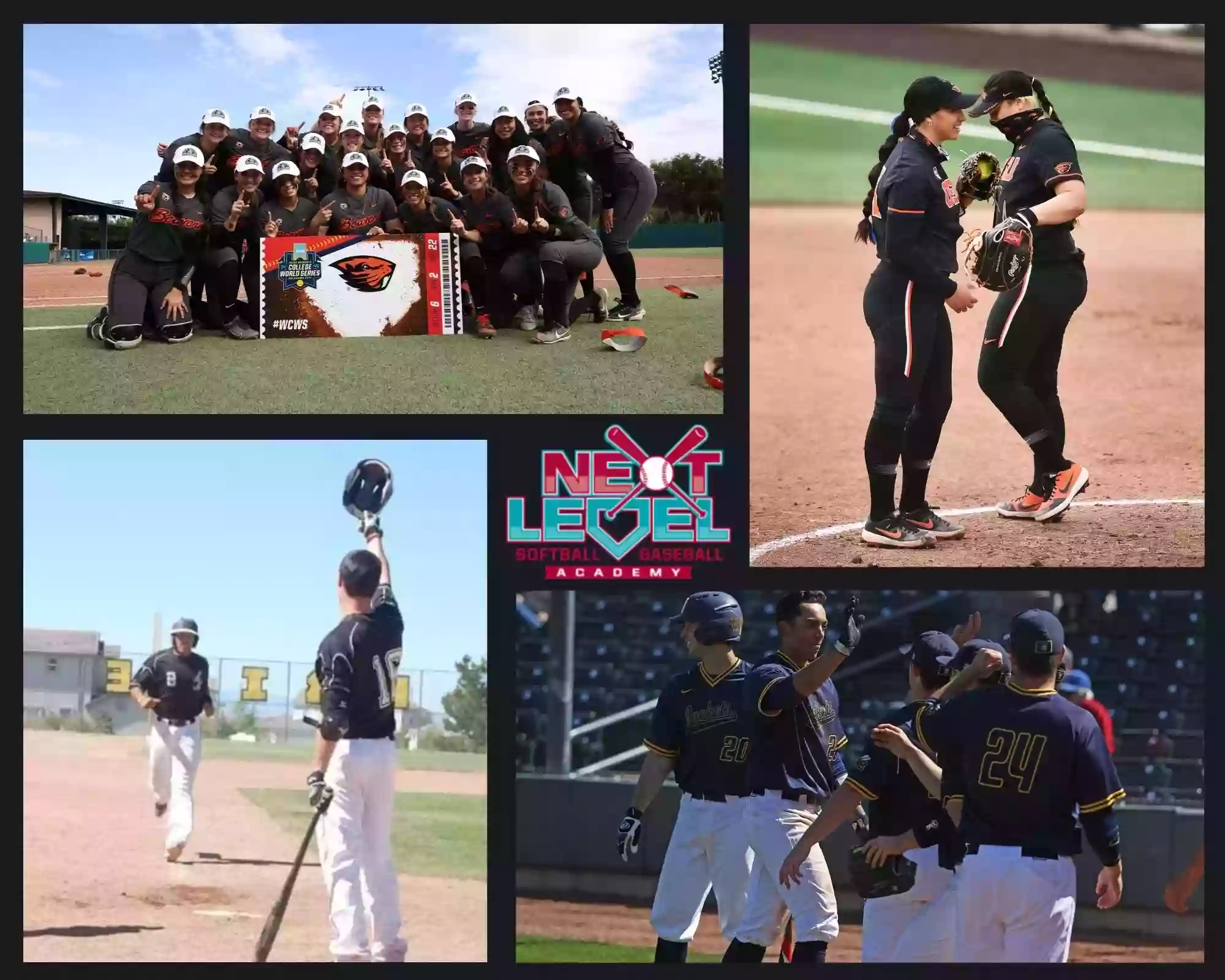 Next Level Softball and Baseball Academy