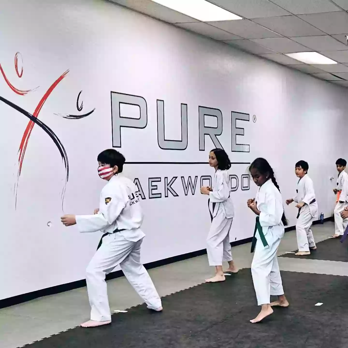 PURE TAEKWONDO