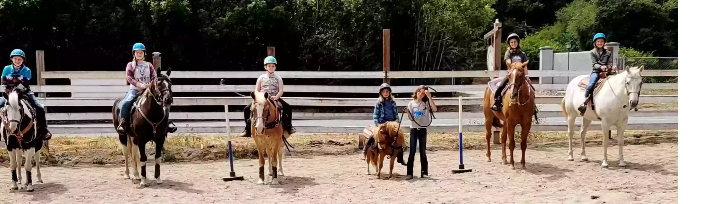 Horse Feathers Training and Riding Academy