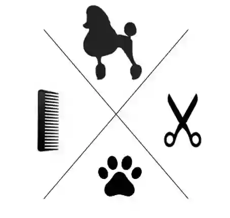 Spawtlight Dog Salon & Spa