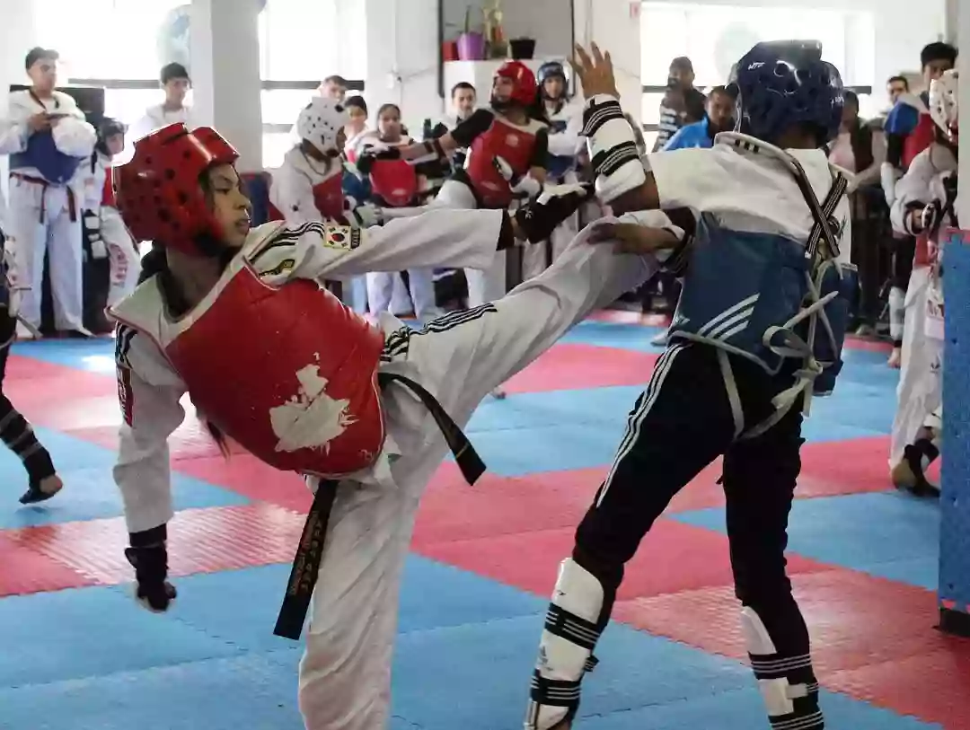 Guerreros Taekwondo Academy