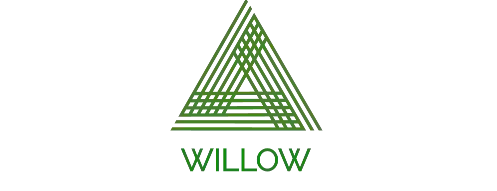 Willow Anxiety And OCD