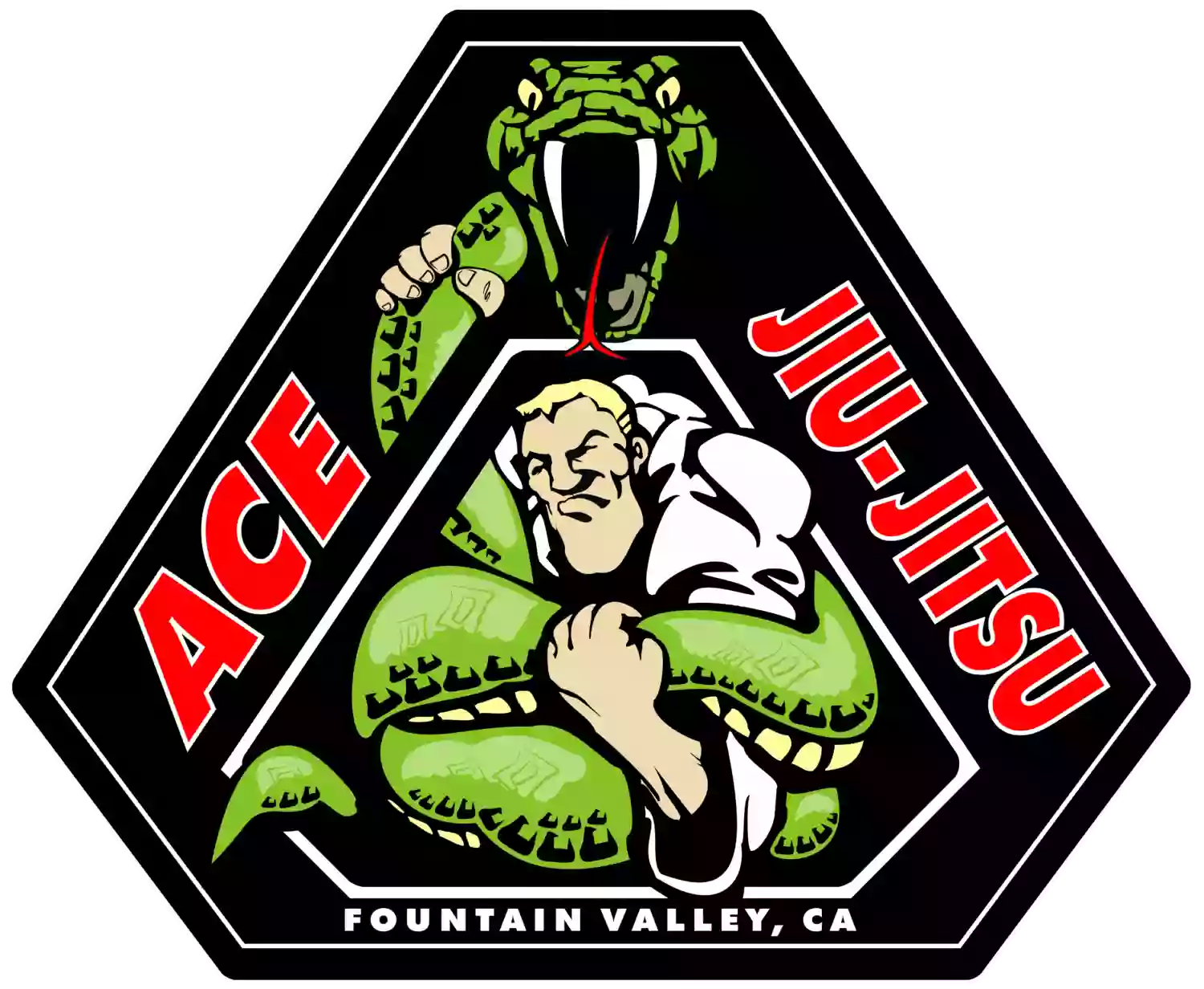 Ace Jiu Jitsu LLC