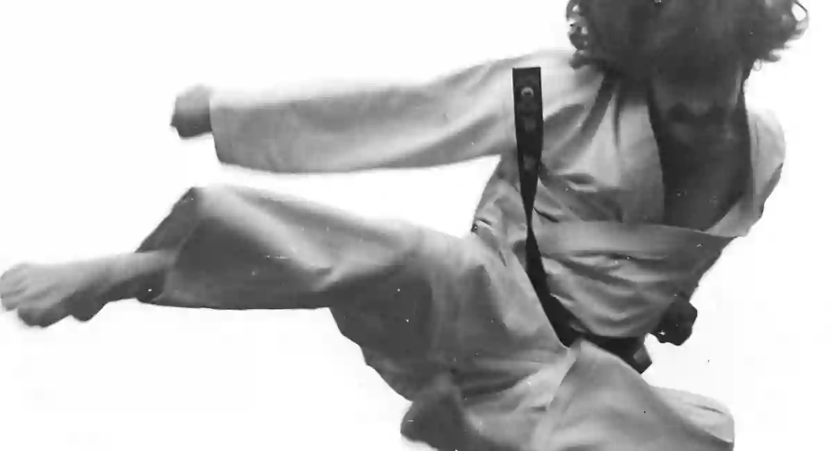 Shoshin Karate-Do International