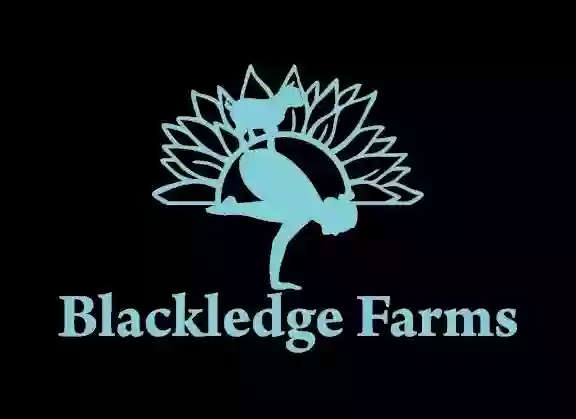 Blackledge Farms
